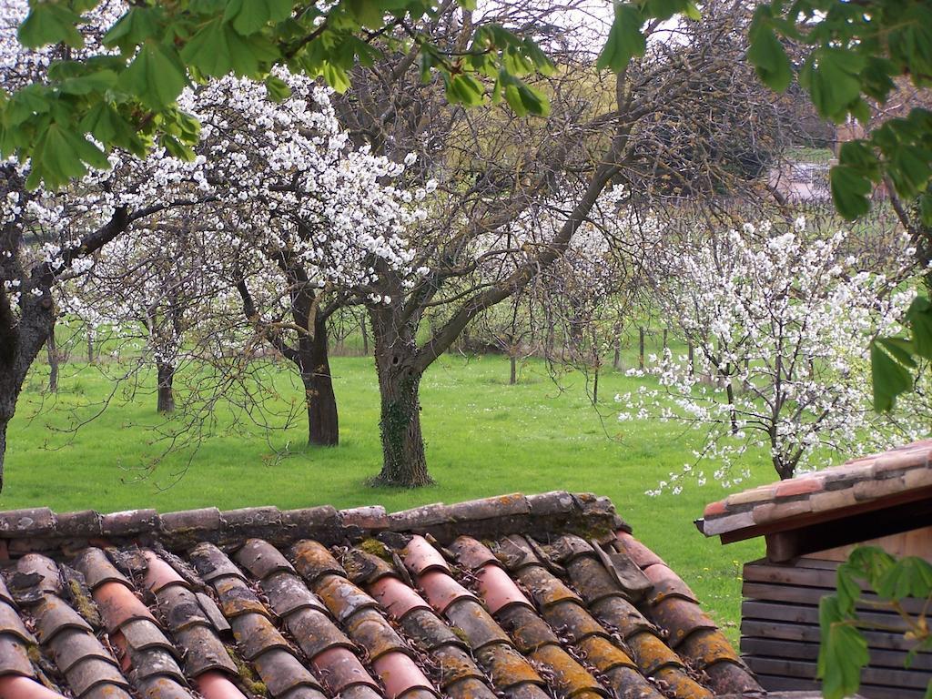 B&B Clos De Pomeir Pommiers (Rhone) Ngoại thất bức ảnh